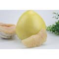 Citrus Fruits Pomelo Manufacturer Price Fresh Honey Pomelo